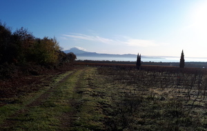 Petite sortie matinale