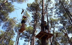 Photos de la journée &quot;accrobranches&quot;