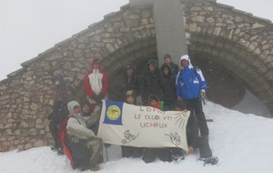 Le groupe 7 observe les Chamois du Ventoux