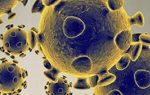 Consignes COVID au 31-01-2022