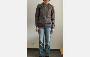 Pull à capuche Uni (gris ou bleu)