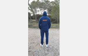 Pull à capuche Uni (gris ou bleu)