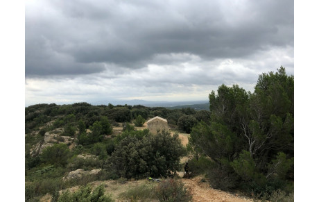 Entrainement du groupe 4