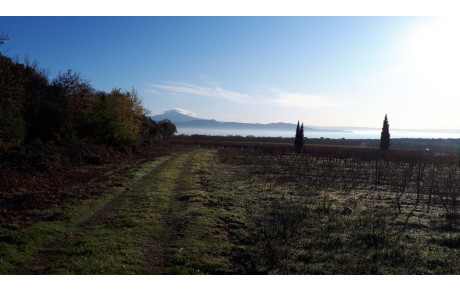 Petite sortie matinale