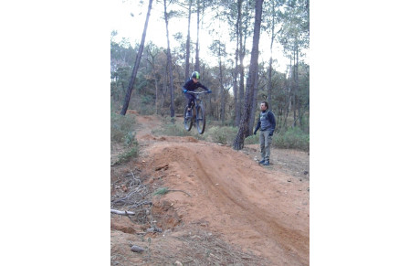  Le groupe 2 à la bibliothèque le 25/01