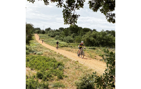 Reprise ! Après déconfinement !