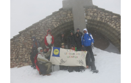 Le groupe 7 observe les Chamois du Ventoux