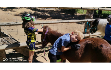Journée Poney Vélo pour le groupe 1