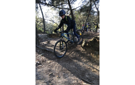 Le groupe 5 tout terrain