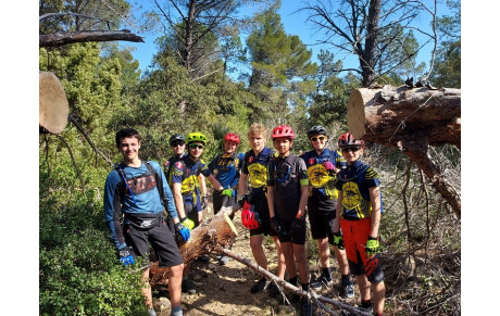 Le membres du groupe 8 s'improvisent bucherons