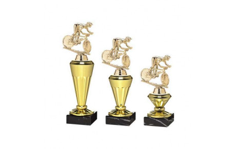 Le critérium régional dans la presse